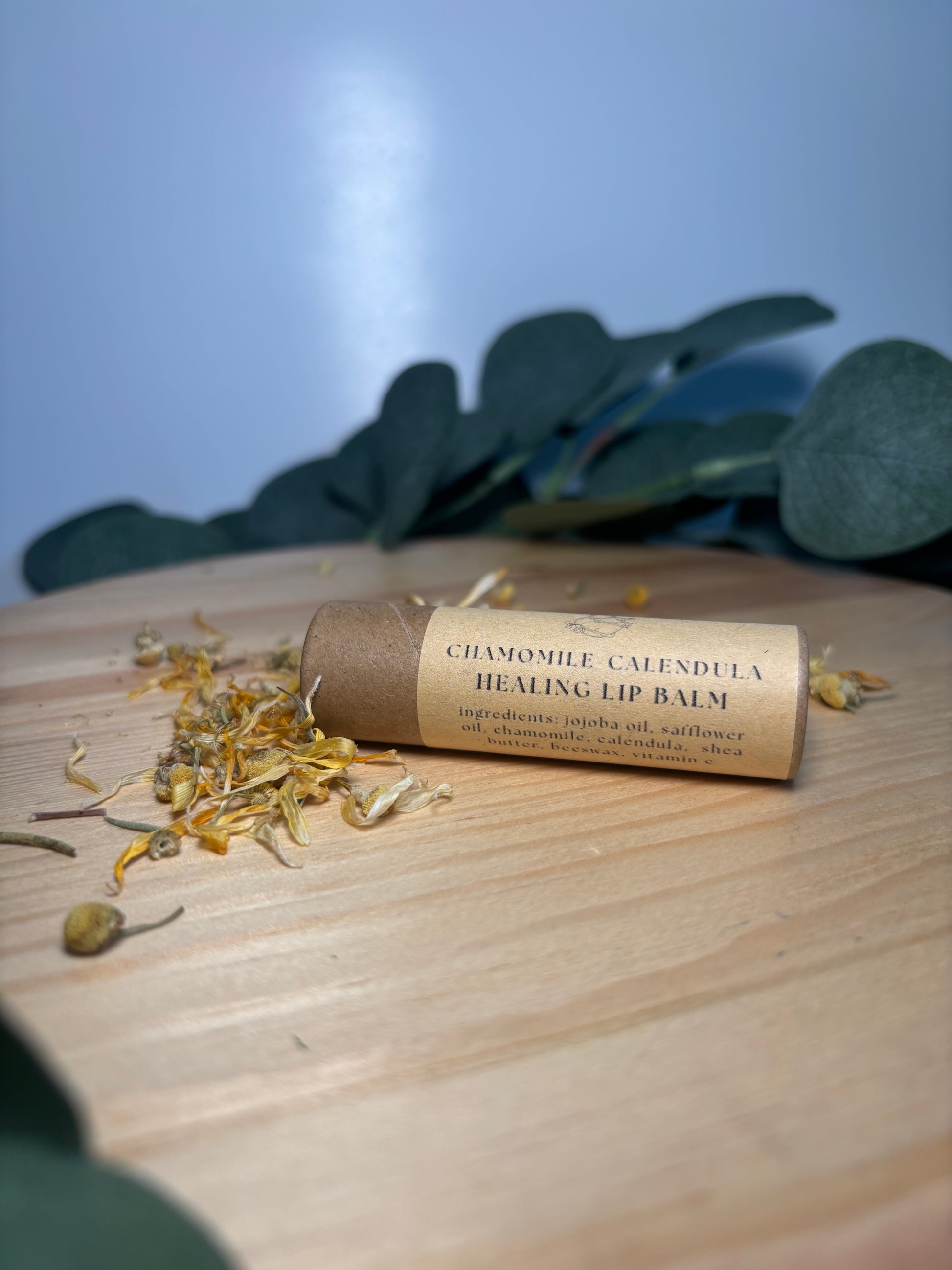 Lip Balm - All Natural 10 ml Push Tube
