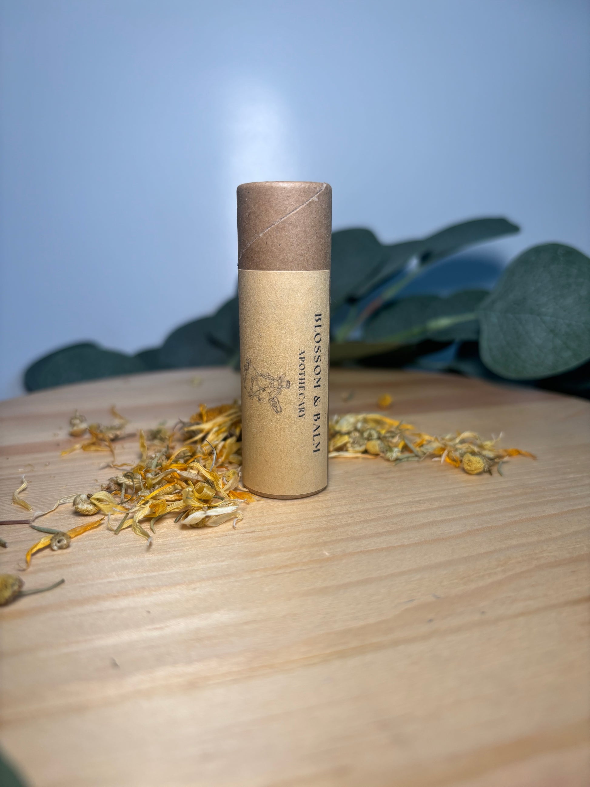 Lip Balm - All Natural 10 ml Push Tube